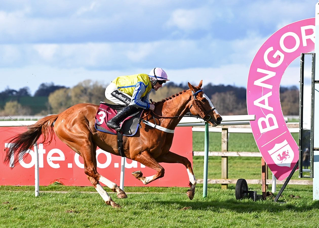 Brian Hughes rode Jungle Jack to victory in the Broughton Hall Estates Handicap Hurdle